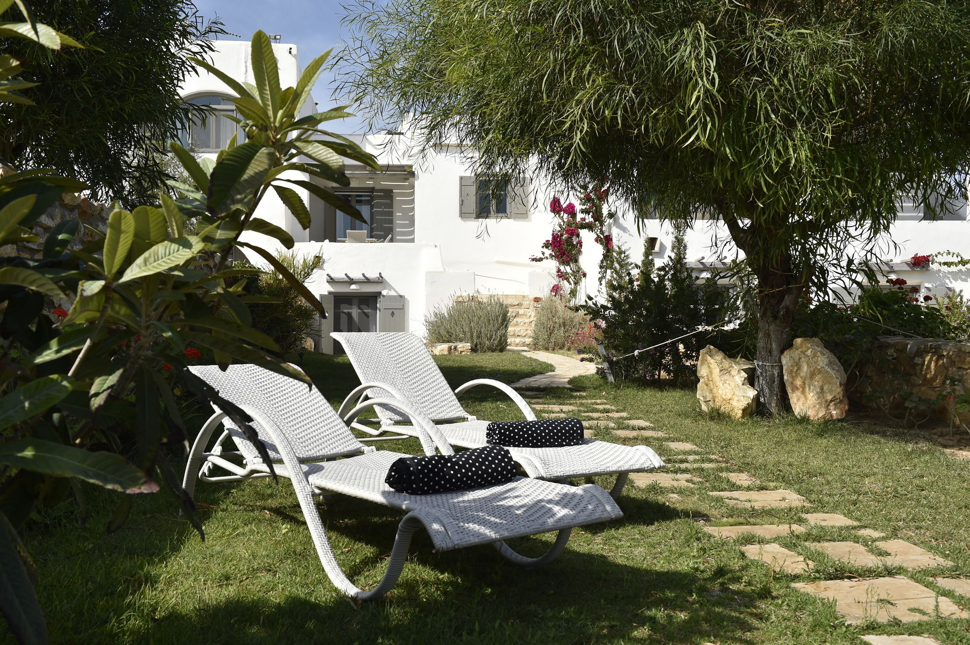 Naoussa Hills Boutique Resort- Adults Only Páros Exteriör bild