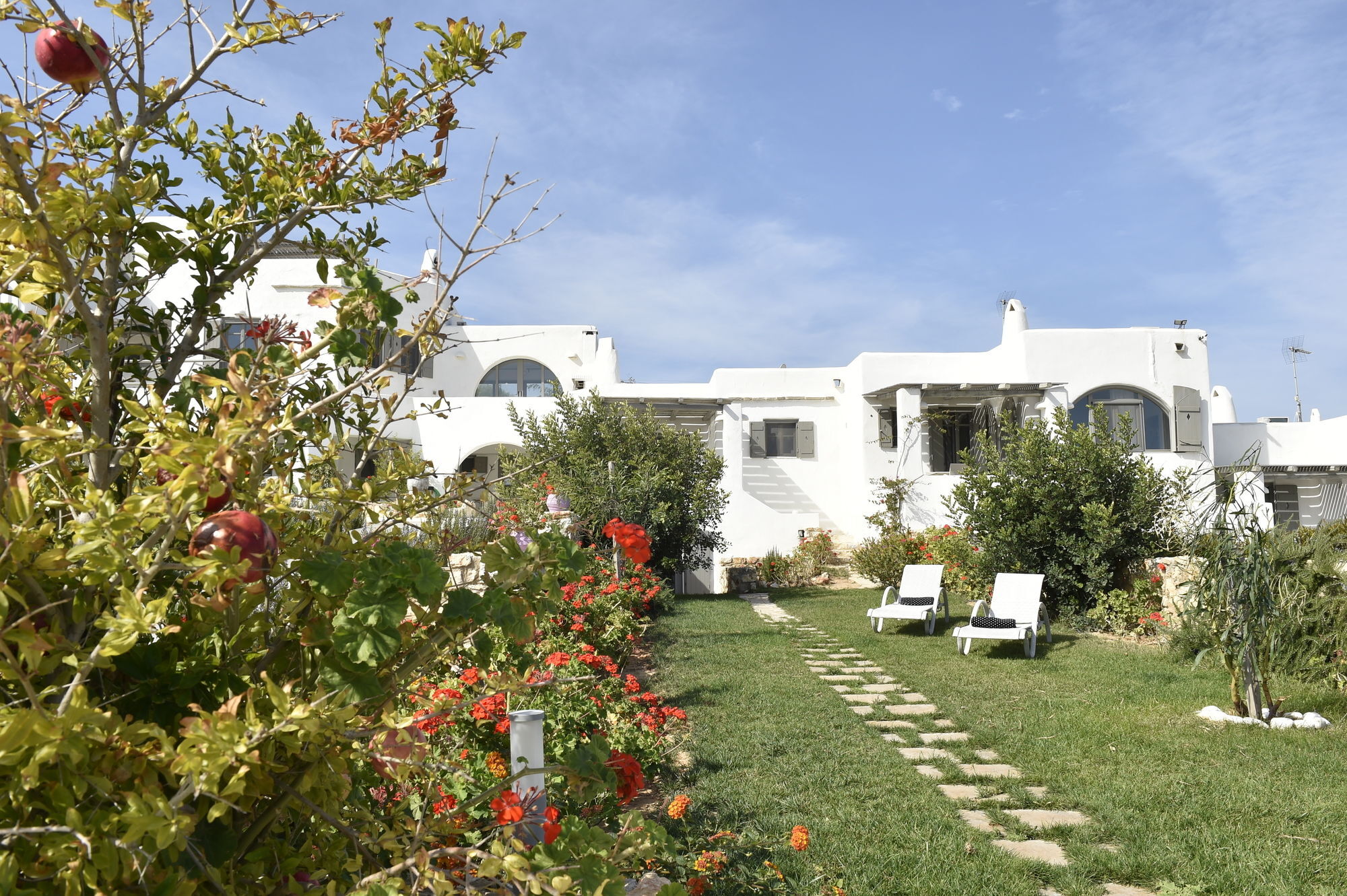 Naoussa Hills Boutique Resort- Adults Only Páros Exteriör bild